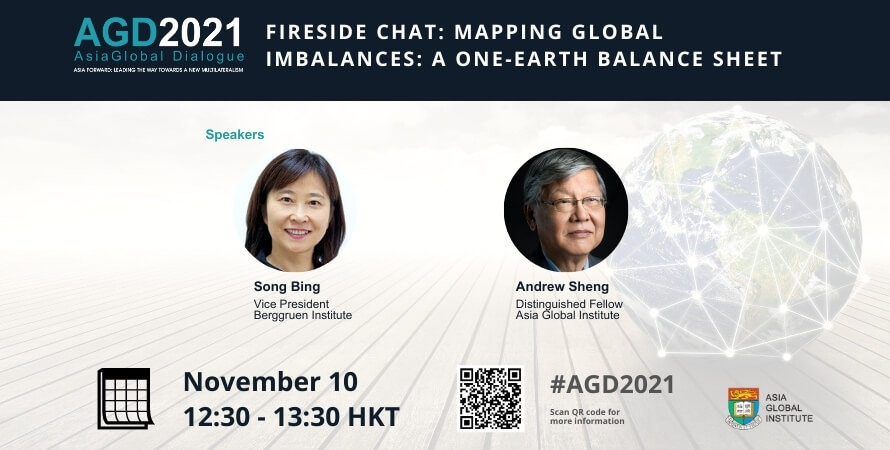 Fireside Chat: Mapping Global Imbalances: A One-Earth Balance Sheet